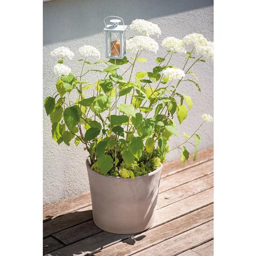Vase Cilindrico Gris grafite en terre cuite D30 x H25,8