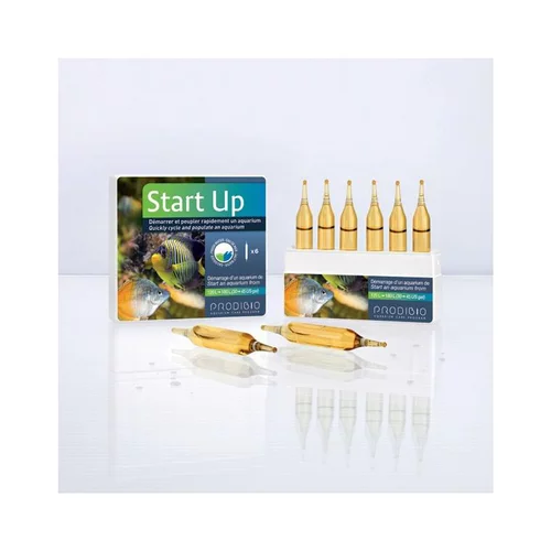 PRODIBIO - Start Up 6 ampoules