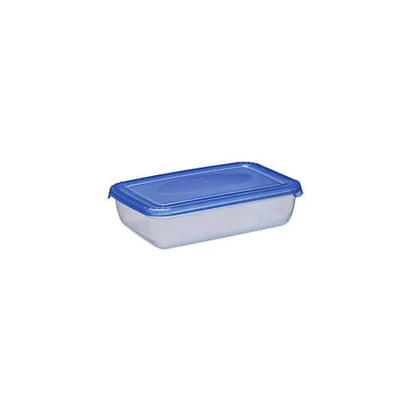 Boite hermétique de congélation rectangulaire 450 ml – Bleu
