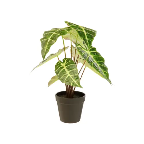 Alocasia artificielle verte en pot - Ø 26 x H 41 cm