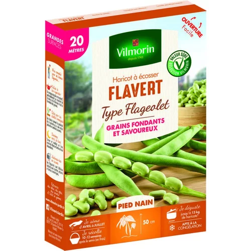 Graines de flageolet Flavert Vilmorin - graines à semer