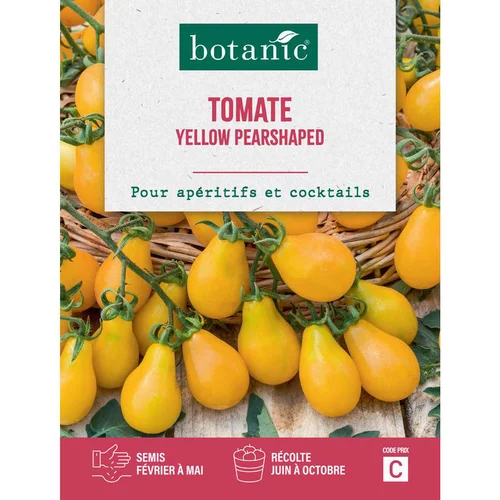 Graines de tomate yellow pearshaped insolite botanic® - graines à semer