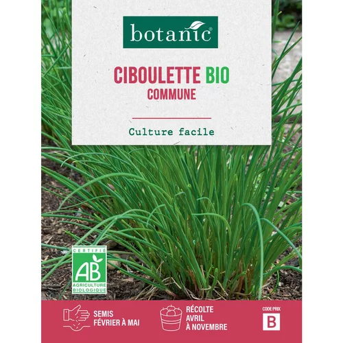Graines de ciboulette commune bio botanic® - graines à semer