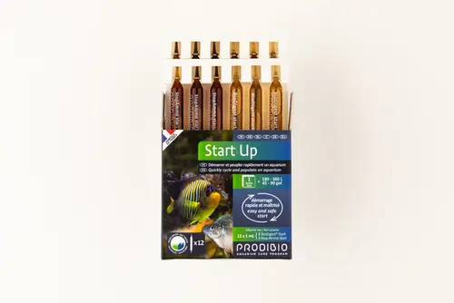 Boîte d'ampoules Prodibio Start'Up - x 12
