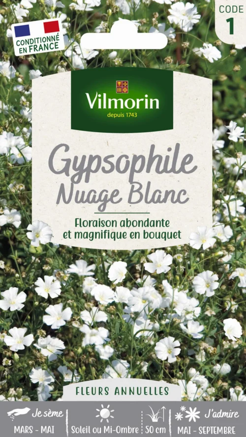 Graines de Gypsophile Nuage blanc Vilmorin - graines à semer