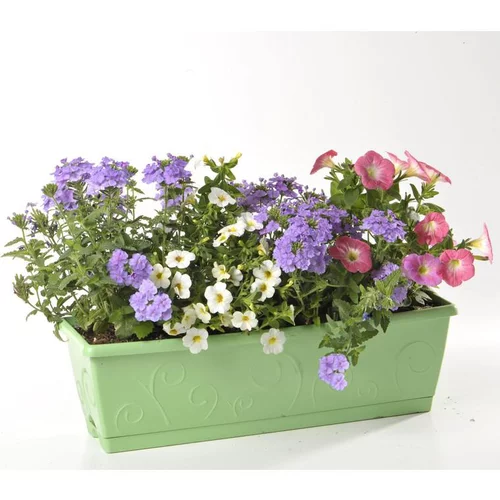 Jardinière coloris variés. La jardinière de 40 cm