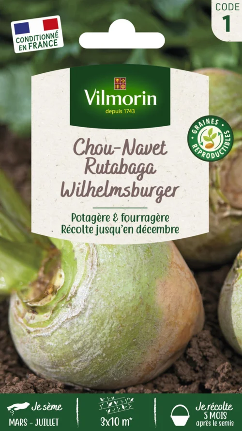 Chou Navet Rutabaga jaune à collet vert Vilmorin - graines à semer