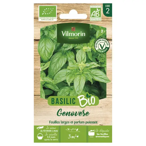 Basilic Genovèse Bio Vilmorin - graines à semer