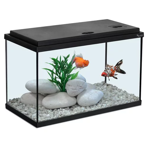 Aquarium coloris noir 20L - 40 x 20 x 25 cm