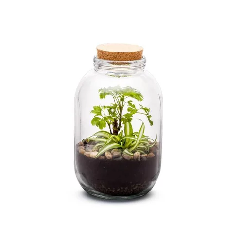 Terrarium Bulle de Nature Naka en verre transparent avec bouchon liège Naturalys - Ø 12,5 x 26 cm
