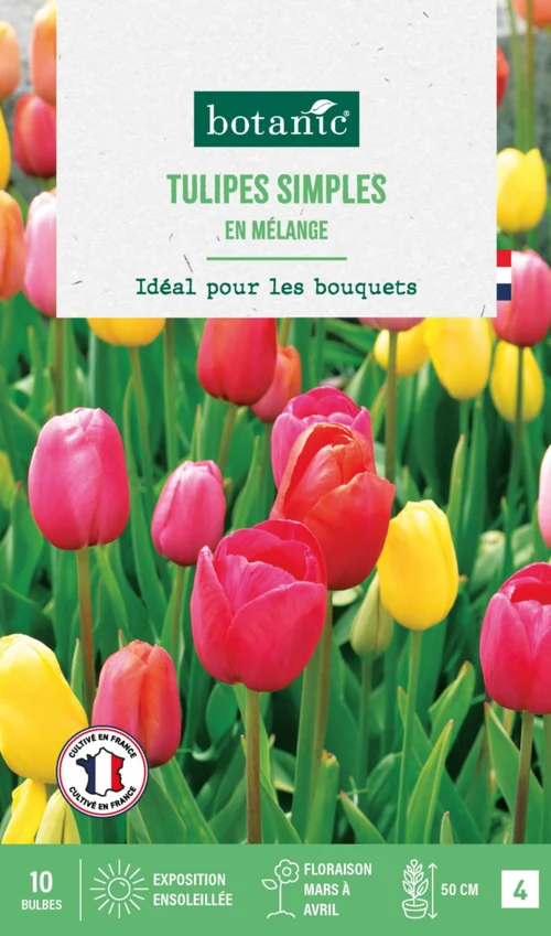 Tulipe en mélange botanic® - 10 bulbes