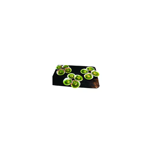 Pétoncles farcis bio Papilles bio - 150 g