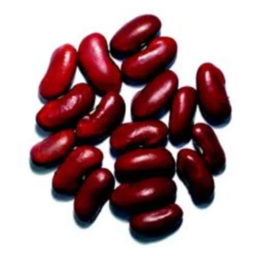 Semences bio de Haricot nain à écosser Flageolet rouge