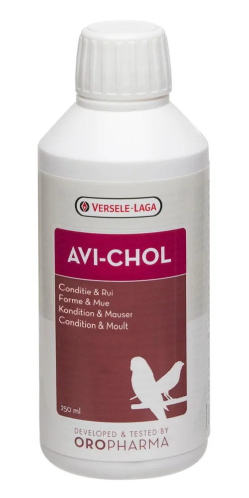 Complément alimentaire régulation du foie pour oiseaux exotiques format liquide Versele Laga Avi-Chol - 250 ml