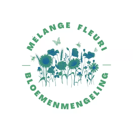 Ma prairie de fleurs mellifères biologique