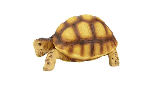 Décoration pour terrarium coloris marron en résine figurine tortue terrestre Terratlantis - 10 x 6,5 x 5 cm