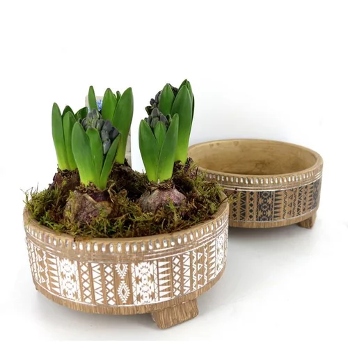 Coupe de 5 jacinthes décor éthnique - La composition