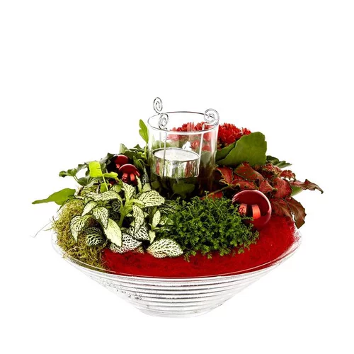 Composition florale de Noël H 25 cm avec verrerie Ø 25 cm