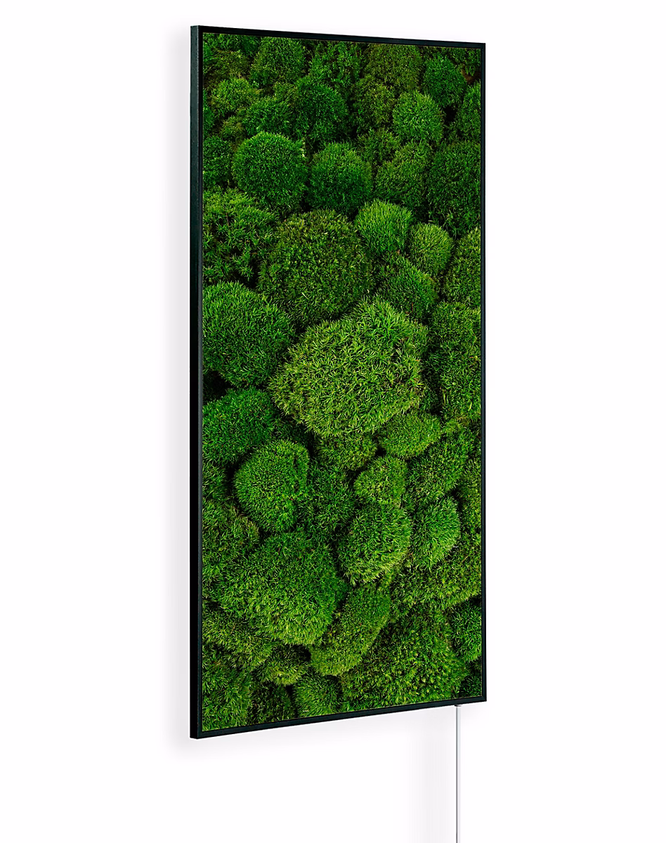 Radiateur soufflant – Chauffage infrarouge KönighausAmbient Edition Mousse 600 W avec thermostat