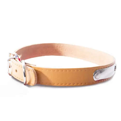 Collier pour chien en cuir coloris marron Martin Sellier Rive - Taille 20/50