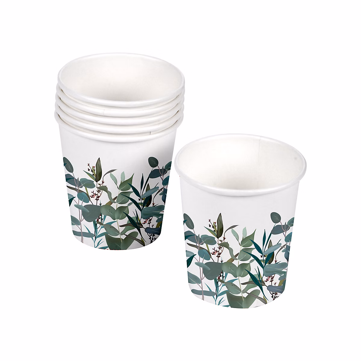 10 gobelets en carton Branche d'eucalyptus – Réf. DCBPFLQIF4694767590
