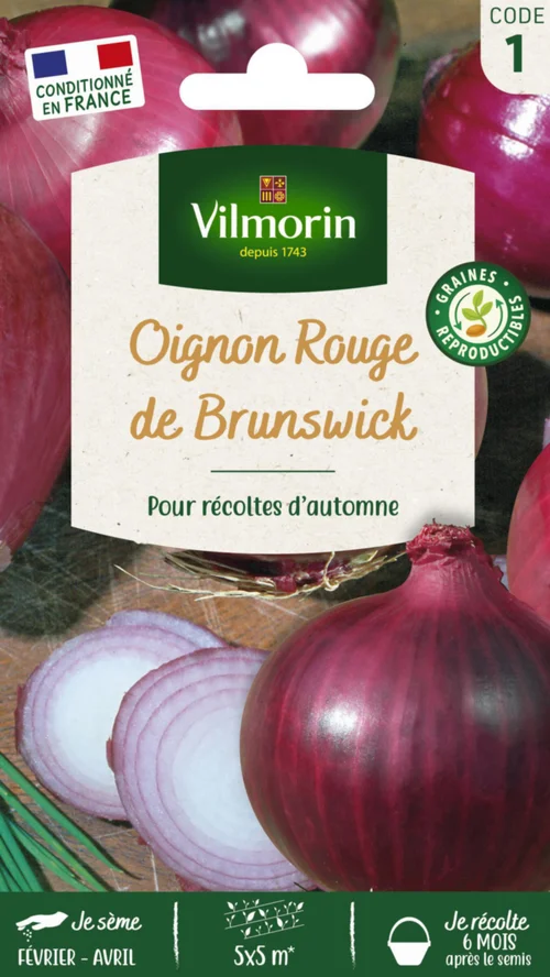 Oignon rouge de Brunswick Vilmorin - graines à semer