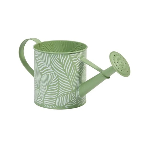 ARROSOIR À PLANTES - FOUGÈRE - SAUGE