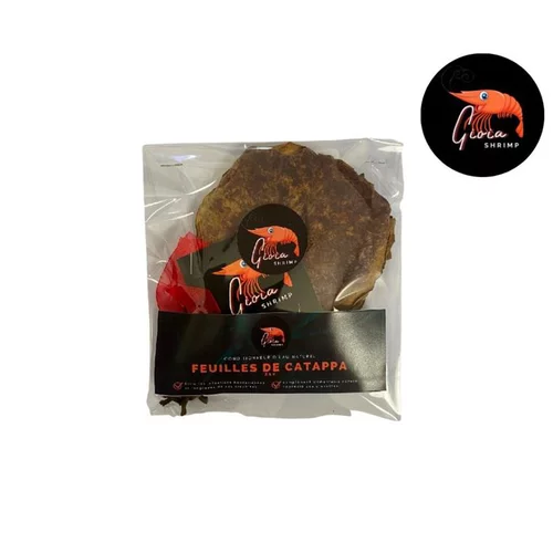 Feuilles de catappa pour les crevettes d'aquarium Gioiashrimp – sachet de 10