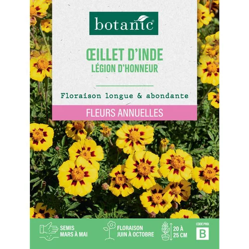 Graines de fleurs d'Œillet d'inde légion d'honneur botanic®