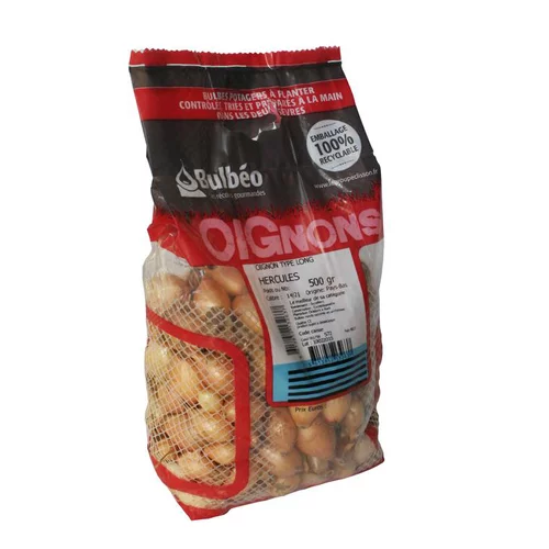 Bulbes d’oignons longsetton en filet - 500 g