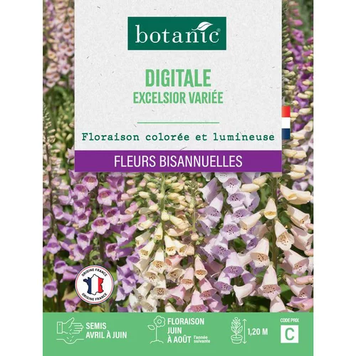 Graines de fleurs de Digitale excelsior variée botanic®