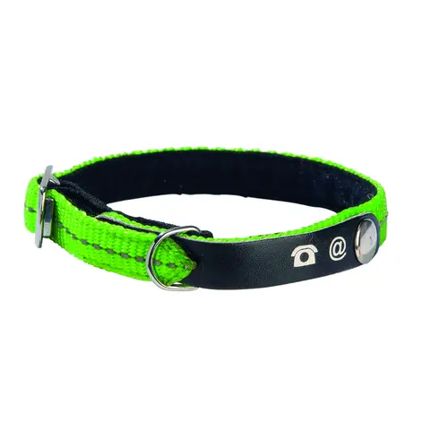 Collier chat Lost vert taille XS