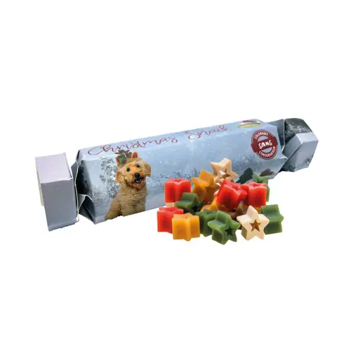 Cracker de Noël pour chien au poulet Bubimex - 100 g