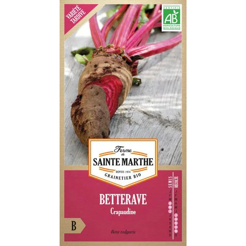 Graines de betterave potagère crapaudine bio Ferme de Sainte Marthe - graines à semer