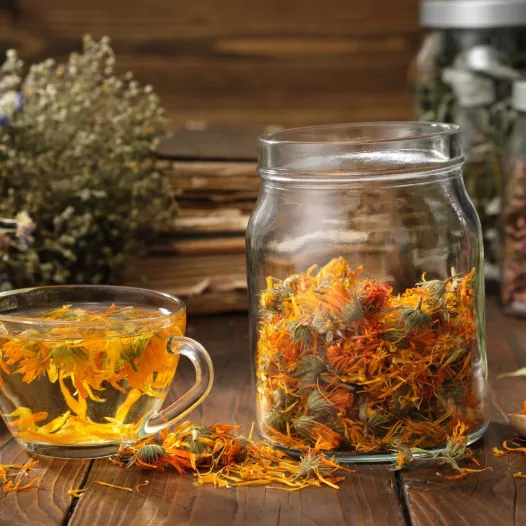 Kit semences bio et reproductibles : Jardin infusé