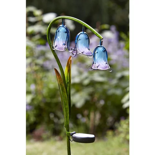 Lampe solaire Jacinthe bleue