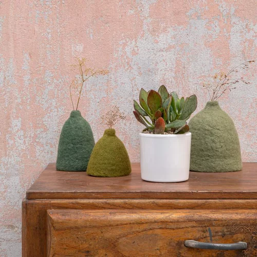 Crassula mix en pot émaillé blanc Ø 10 cm