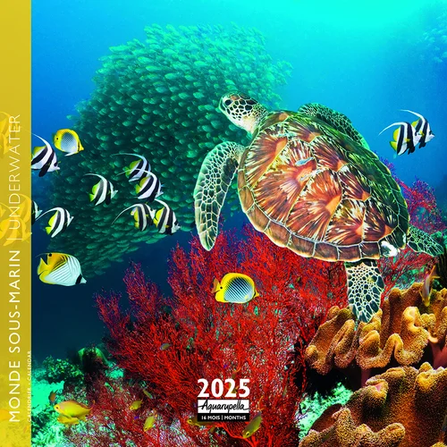 Calendrier 2025 monde sous-marin coloris multicolore Aquarupella - 16,5 x 16,5 cm