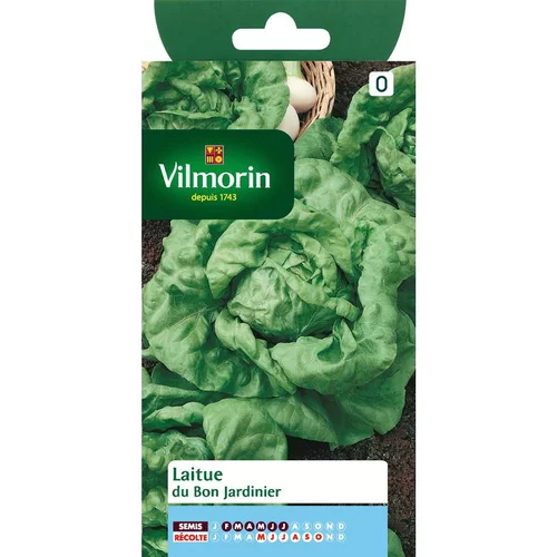 Graines de laitue du bon jardinier Vilmorin - graines à semer
