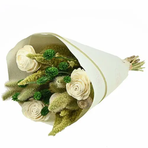 Bouquet de fleurs séchées Naturalys Sola S vert et blanc - 50 cm