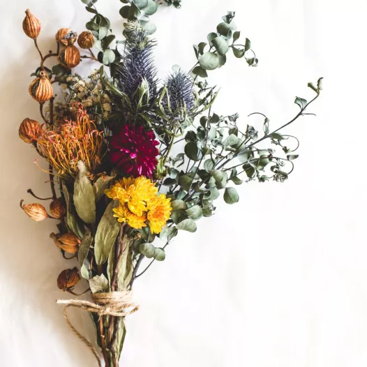 Kit semences bio : Mon bouquet de fleurs séchées