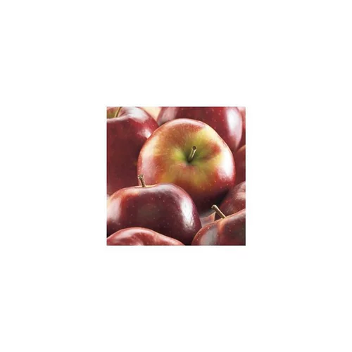 Pommier Delbard Celeste® Deltana. En racine nue, forme gobelet