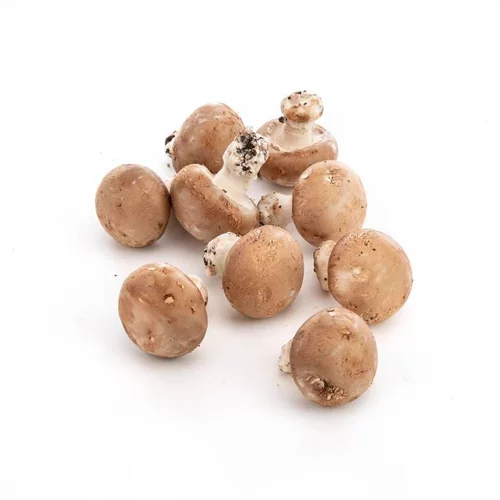 Champignons de Paris bruns biologiques - prix au kg