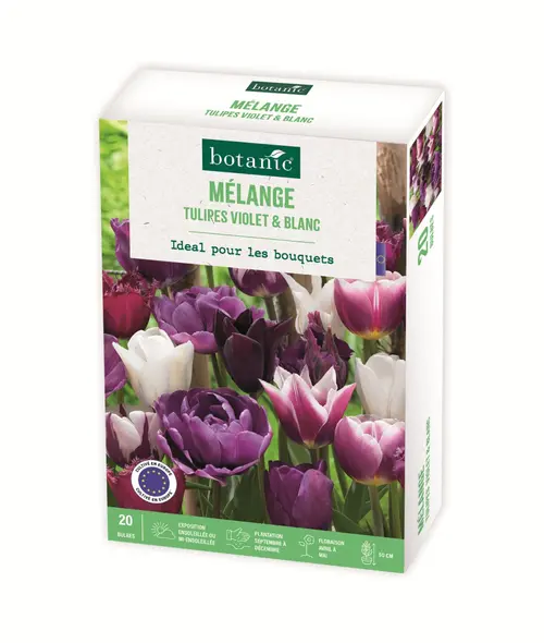 Bulbes de fleurs Tulipe mélange violet blanc botanic® - 20 bulbes