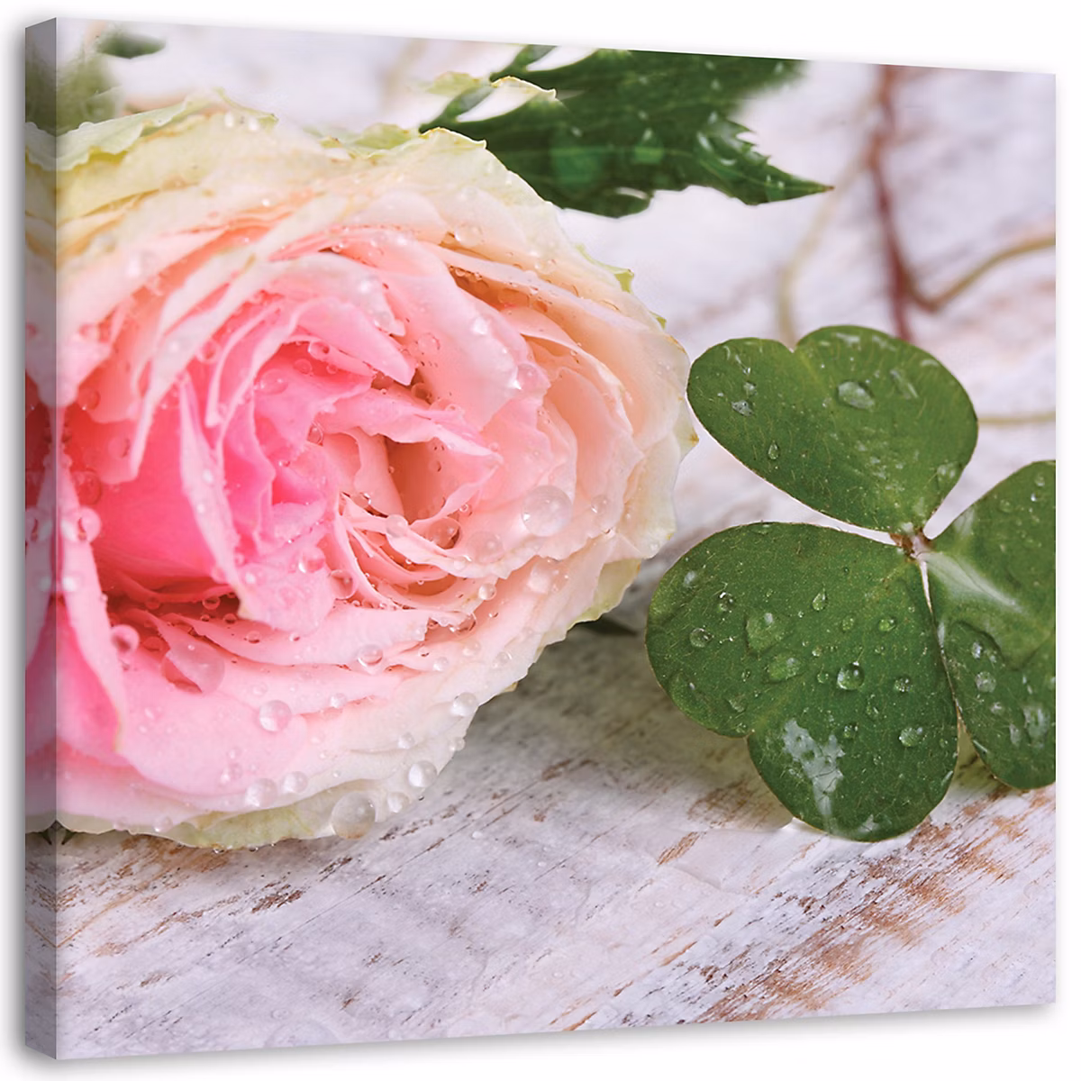 Cadre déco – Rose fleur nature 40 × 40 cm