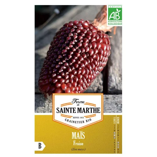Graines de maïs fraise bio Ferme de Sainte Marthe - graines à semer