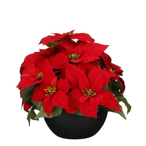 Plante artificielle Poinsettia rouge en pot - Ø 35 x H 30 cm