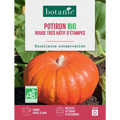 Graines de potiron rouge vif d'étampes bio botanic® - graines à semer