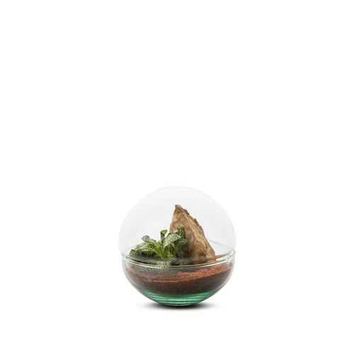 Terrarium Bulle de Nature Mini Monde en verre transparent Naturalys taille S - Ø 12 x 12 cm