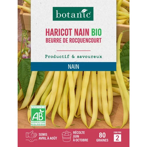 Graines d'haricot nain beurre de rocquencourt bio botanic® - graines nain semer